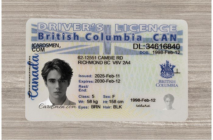 British Columbia Fake ID (2025 Version)